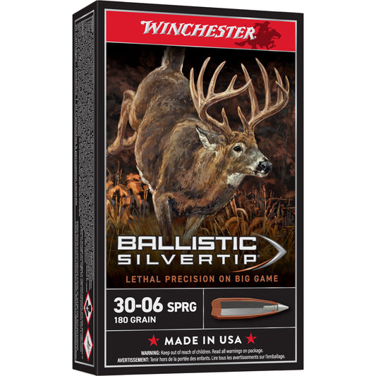 Win Blstc Tip 3006sp 180gr 20/200